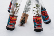 Load image into Gallery viewer, Living Christmas Trees | The Jonsteen Company
