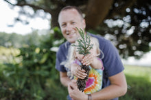 Load image into Gallery viewer, Giant Sequoia | Medium Tree Seedling | The Jonsteen Company