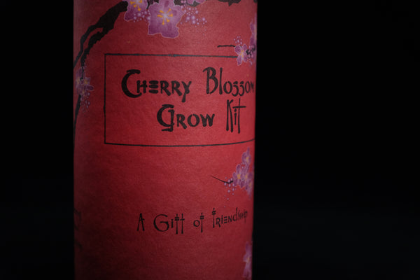 Japanese Flowering Cherry Blossom | Seed Grow Kit | The Jonsteen Company