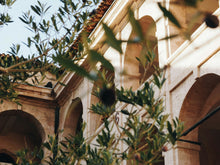 Load image into Gallery viewer, Olive Tree | The Jonsteen Company