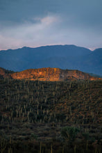 Load image into Gallery viewer, Saguaro Cactus | The Jonsteen Company