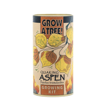 Load image into Gallery viewer, Quaking Aspen | Seed Grow Kit | The Jonsteen Company