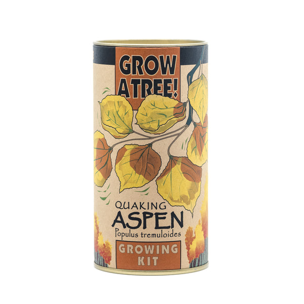 Quaking Aspen | Seed Grow Kit | The Jonsteen Company