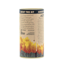 Load image into Gallery viewer, Quaking Aspen | Seed Grow Kit | The Jonsteen Company