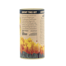 Load image into Gallery viewer, Quaking Aspen | Seed Grow Kit | The Jonsteen Company