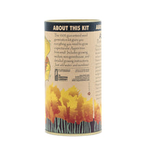 Load image into Gallery viewer, Quaking Aspen | Seed Grow Kit | The Jonsteen Company