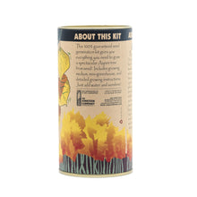 Load image into Gallery viewer, Quaking Aspen | Seed Grow Kit | The Jonsteen Company