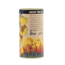 Load image into Gallery viewer, Quaking Aspen | Seed Grow Kit | The Jonsteen Company
