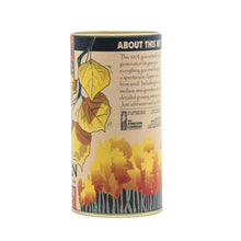 Load image into Gallery viewer, Quaking Aspen | Seed Grow Kit | The Jonsteen Company