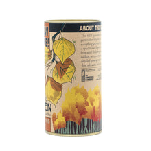 Load image into Gallery viewer, Quaking Aspen | Seed Grow Kit | The Jonsteen Company