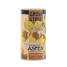 Load image into Gallery viewer, Quaking Aspen | Seed Grow Kit | The Jonsteen Company