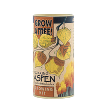 Load image into Gallery viewer, Quaking Aspen | Seed Grow Kit | The Jonsteen Company