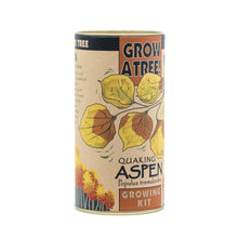 Load image into Gallery viewer, Quaking Aspen | Seed Grow Kit | The Jonsteen Company