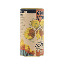 Load image into Gallery viewer, Quaking Aspen | Seed Grow Kit | The Jonsteen Company