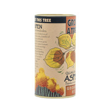 Load image into Gallery viewer, Quaking Aspen | Seed Grow Kit | The Jonsteen Company