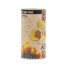 Load image into Gallery viewer, Quaking Aspen | Seed Grow Kit | The Jonsteen Company