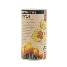 Load image into Gallery viewer, Quaking Aspen | Seed Grow Kit | The Jonsteen Company