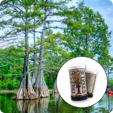 Load image into Gallery viewer, Baldcypress | Mini-Grow Kit| The Jonsteen Company