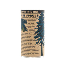 Load image into Gallery viewer, Colorado Blue Spruce | Seed Grow Kit | The Jonsteen Company