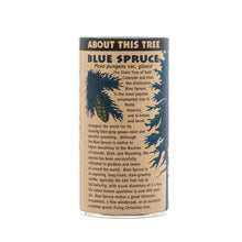 Load image into Gallery viewer, Colorado Blue Spruce | Seed Grow Kit | The Jonsteen Company