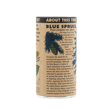 Load image into Gallery viewer, Colorado Blue Spruce | Seed Grow Kit | The Jonsteen Company