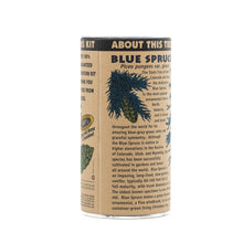 Load image into Gallery viewer, Colorado Blue Spruce | Seed Grow Kit | The Jonsteen Company