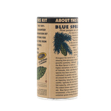 Load image into Gallery viewer, Colorado Blue Spruce | Seed Grow Kit | The Jonsteen Company