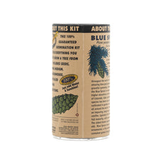 Load image into Gallery viewer, Colorado Blue Spruce | Seed Grow Kit | The Jonsteen Company