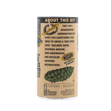 Load image into Gallery viewer, Colorado Blue Spruce | Seed Grow Kit | The Jonsteen Company