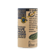 Load image into Gallery viewer, Colorado Blue Spruce | Seed Grow Kit | The Jonsteen Company