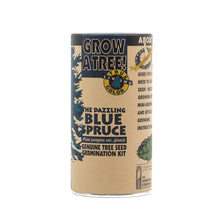 Load image into Gallery viewer, Colorado Blue Spruce | Seed Grow Kit | The Jonsteen Company