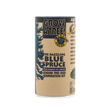 Load image into Gallery viewer, Colorado Blue Spruce | Seed Grow Kit | The Jonsteen Company