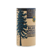 Load image into Gallery viewer, Colorado Blue Spruce | Seed Grow Kit | The Jonsteen Company