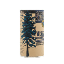 Load image into Gallery viewer, Colorado Blue Spruce | Seed Grow Kit | The Jonsteen Company