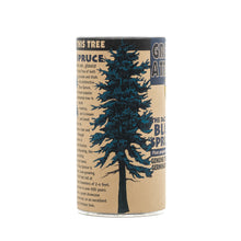 Load image into Gallery viewer, Colorado Blue Spruce | Seed Grow Kit | The Jonsteen Company