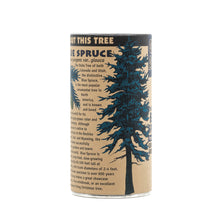Load image into Gallery viewer, Colorado Blue Spruce | Seed Grow Kit | The Jonsteen Company