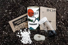 Load image into Gallery viewer, Bonsai Tree | White Design | Seed Grow Kit | The Jonsteen Company