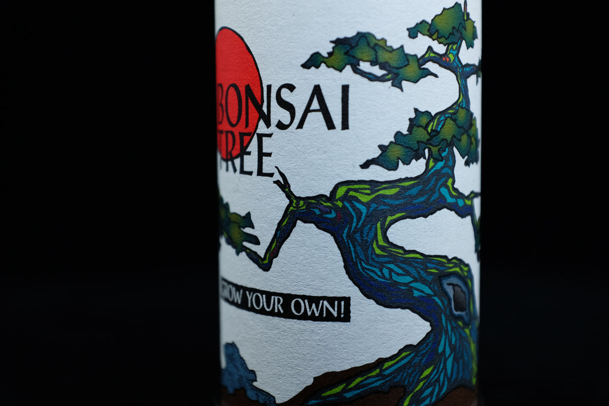 bonsai tree growing kit jonsteen company Bonsai Starter