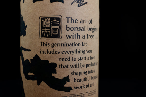 Bonsai Tree | Seed Grow Kit | The Jonsteen Company