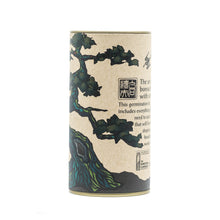 Load image into Gallery viewer, Bonsai Tree | Seed Grow Kit | The Jonsteen Company