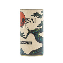 Load image into Gallery viewer, Bonsai Tree | Seed Grow Kit | The Jonsteen Company