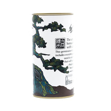 Load image into Gallery viewer, Bonsai Tree | White Design | Seed Grow Kit | The Jonsteen Company