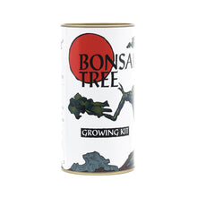 Load image into Gallery viewer, Bonsai Tree | White Design | Seed Grow Kit | The Jonsteen Company