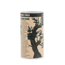 Load image into Gallery viewer, Ancient Bristlecone Pine | Seed Grow Kit | The Jonsteen Company