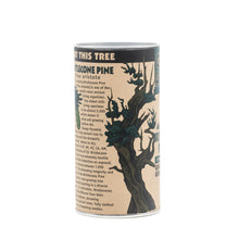 Load image into Gallery viewer, Ancient Bristlecone Pine | Seed Grow Kit | The Jonsteen Company