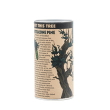 Load image into Gallery viewer, Ancient Bristlecone Pine | Seed Grow Kit | The Jonsteen Company