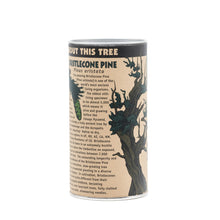 Load image into Gallery viewer, Ancient Bristlecone Pine | Seed Grow Kit | The Jonsteen Company