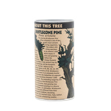 Load image into Gallery viewer, Ancient Bristlecone Pine | Seed Grow Kit | The Jonsteen Company