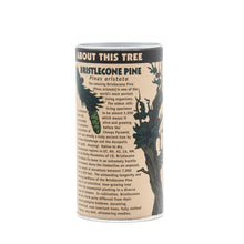 Load image into Gallery viewer, Ancient Bristlecone Pine | Seed Grow Kit | The Jonsteen Company