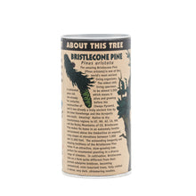 Load image into Gallery viewer, Ancient Bristlecone Pine | Seed Grow Kit | The Jonsteen Company